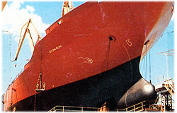 Admiral Photo